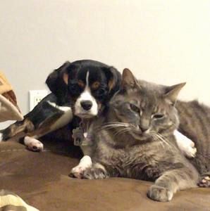 Meet your Posher, Tina